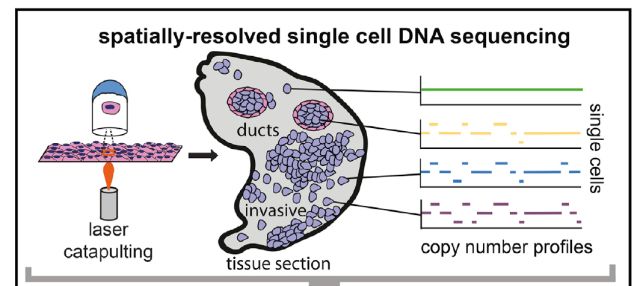 單細胞測序技術(single cell sequencing)