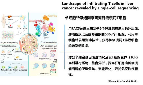 RNA-seq單細(xì)胞轉(zhuǎn)錄組測序在眼科領(lǐng)域中的研究應(yīng)用