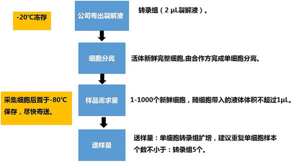 RNA-seq單細(xì)胞轉(zhuǎn)錄組測序在眼科領(lǐng)域中的研究應(yīng)用