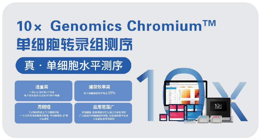 流式樣本單細胞懸液的制備方法于講解